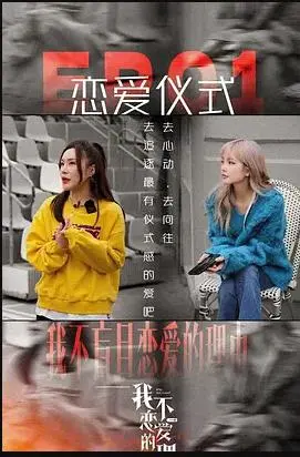 《我不恋爱的理由》：揭秘单身男女的心声，都市情感的真实写照