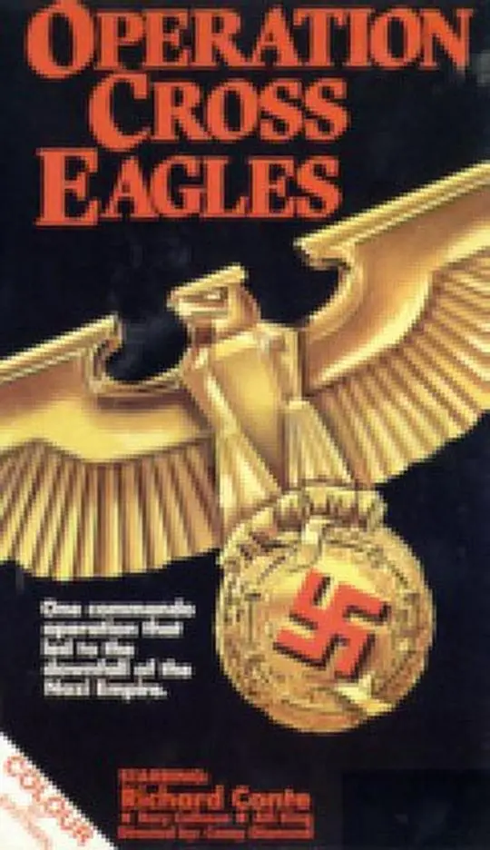 《十字鹰行动》：硬核军事动作片，带你感受枪林弹雨中的人性与幸福！