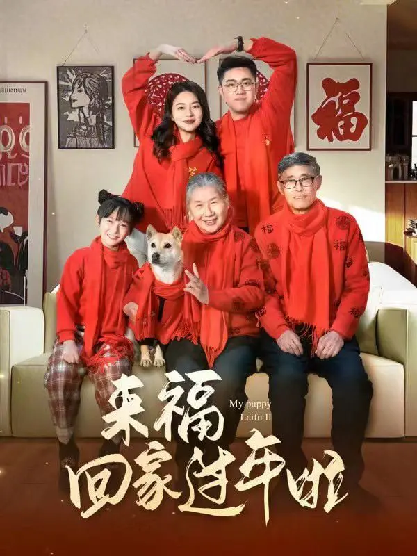 《来福回家过年啦》：萌宠贺岁，温暖治愈的合家欢喜剧！