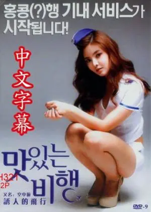 《飞行中的艳遇》：高空浪漫邂逅？欢喜冤家上演啼笑皆非的爱情喜剧